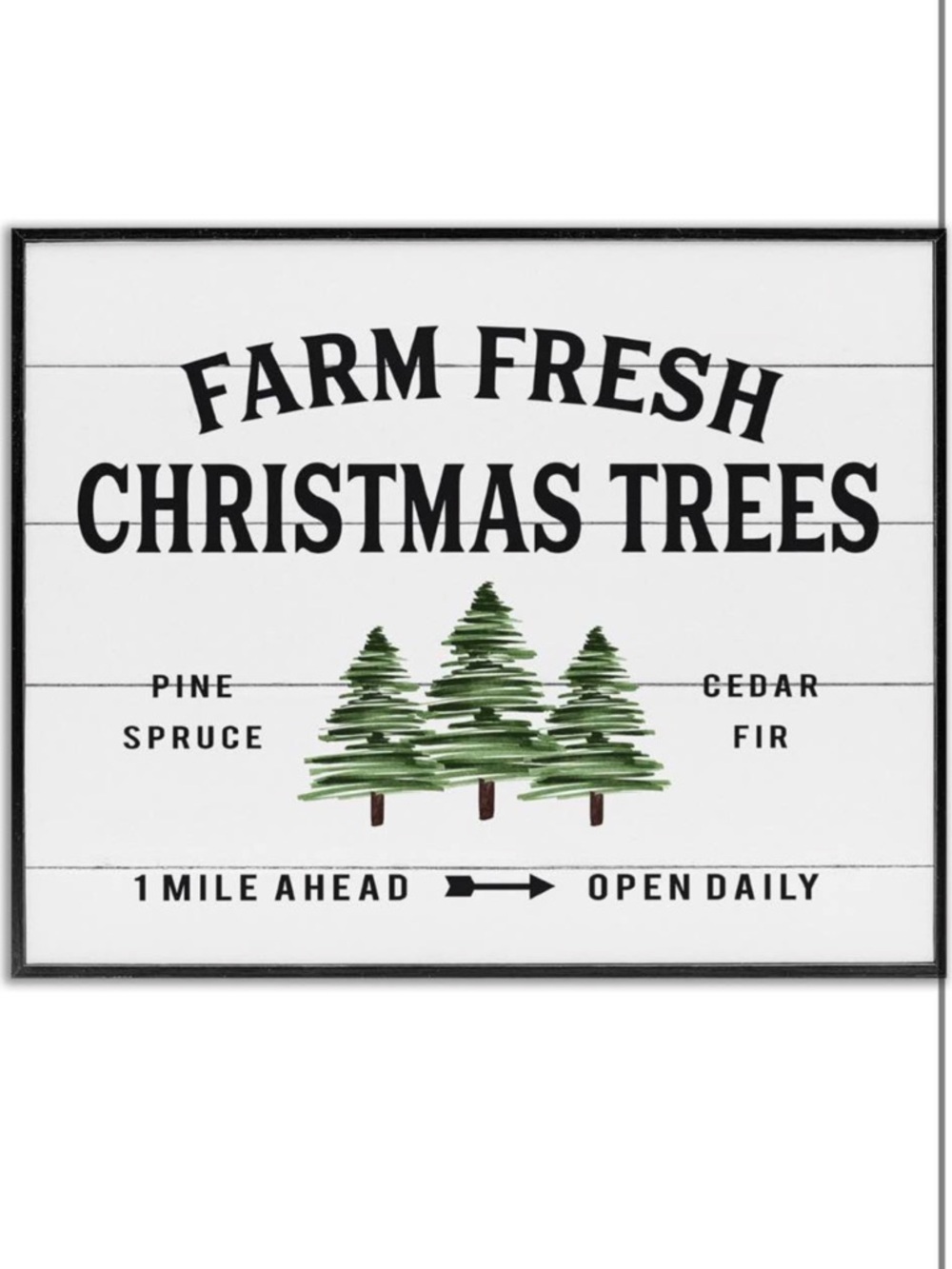 Farm Fresh Christmas Trees Wall Sign - Green/White